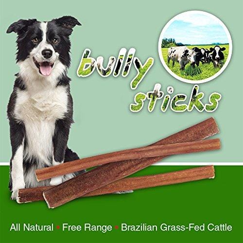 GigaBite 6 Inch Slim Odor-Free Bully Sticks (1-Pound) - USDA & FDA Certified All Natural, Free Range Beef Pizzle Dog Treat - by Best Pet Supplies