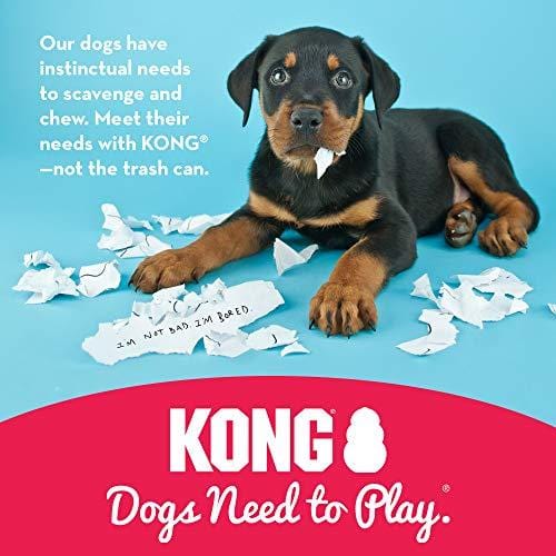Kong Classic Dog Toy