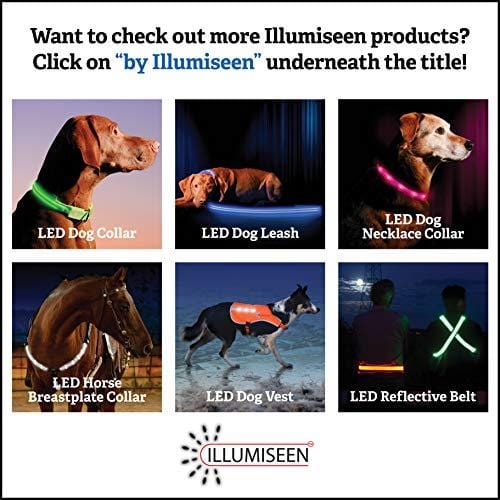 LED Dog Collar - USB Rechargeable - Available in 6 Colors & 6 Sizes - Makes Your Dog Visible, Safe & Seen