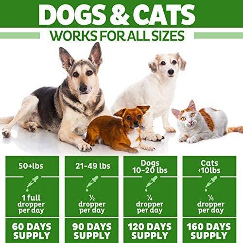 Organic Hemp Oil for Dogs & Cats - 5000mg - Pet Hemp Oil - Separation Anxiety & Stress Relief - Supports Mobility, Hip & Joint, Immune System - Calming Treats for Dogs - Made in USA