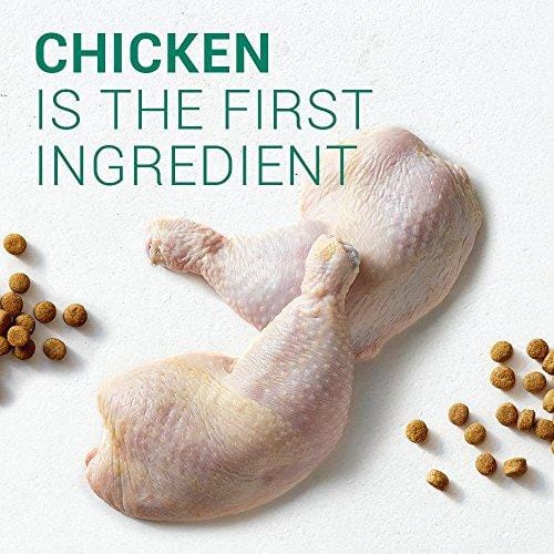 NUTRO WHOLESOME ESSENTIALS Natural Adult Dry Dog Food Farm-Raised Chicken, Brown Rice & Sweet Potato Recipe, 30 lb. Bag