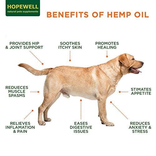 Hemp Oil for Dogs and Cats - 1000mg - Stress & Anxiety Relief - Advanced Formula - Grown & Made in USA - Supports Hip & Joint Health, Natural Relief for Separation Anxiety.