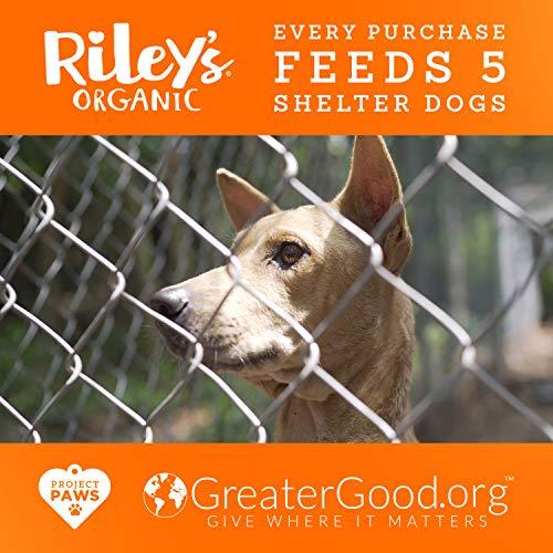 Riley's Organic Dog Treats - Large Bone Pumpkin & Coconut Dog Treats - USDA Organic, Certified Vegan and Non GMO Project Verified Dog Biscuits - 100% Human Grade - 9 Oz Carton