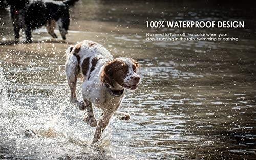 ieGeek Dog Training Collar for 2 Dogs - Rechargeable and Waterproof Shock Collar - 1960ft Blind Operation Remote Controlled Electric Collar with Tone/ Vibration/ Shock for Small/ Medium/ Large Dogs