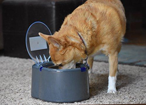 Our Pets Smart Link Intelligent Pet Care Selective Feeder Automatic Pet Bowl