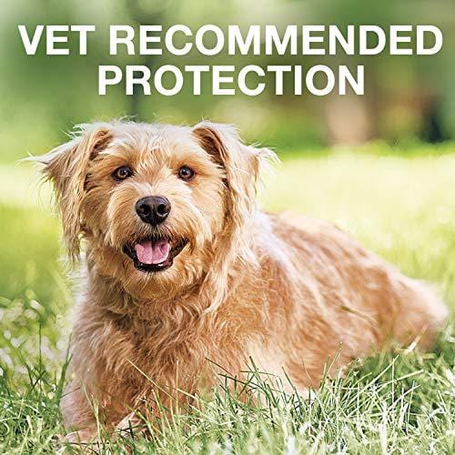 Bayer K9 Advantix II Flea, Tick and Mosquito Prevention for Medium Dogs, 11 - 20 lb, 2 doses