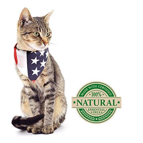 Vet's Best Flea and Tick Waterless Bath Foam Dry Shampoo for Cats, 5 oz