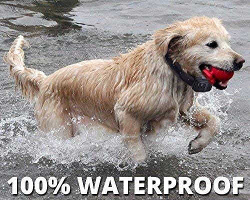 Wireless Combo Electric Dog Fence System with Remote Dog Training Collar by PetControlHQ, Safe Dog Containment, Waterproof, Rechargeable Dog Shock Collar & Fence That’s Invisible (1 Collar w Remote)