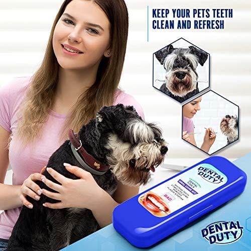 Professional Dental Hygiene Kit - Calculus & Plaque Remover Set - Stainless Steel Tarter Scraper, Tooth Pick, Dental Scaler And Mouth Mirror.Dentist Home Use Tools (blue)