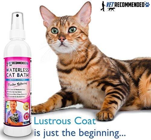 Vet Recommended NEW Waterless Cat Shampoo - Detergent and Alcohol Free - Apple Extract Dry Cat Shampoo Spray to Clean, Moisturize & Help Cat Dander - Use Without Using Water. USA Made (8oz/240ml)