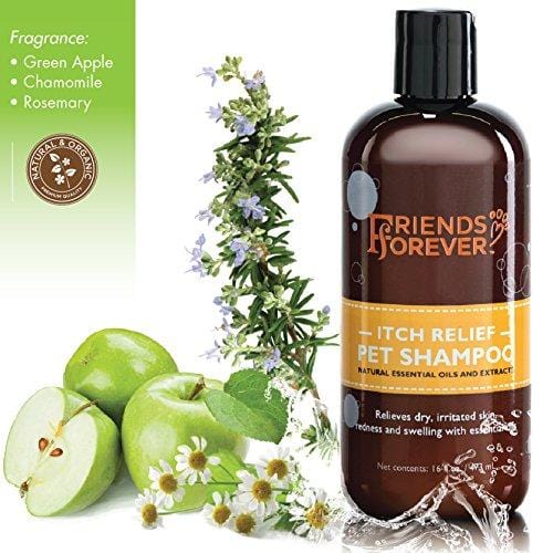 Friends Forever Natural Dog Shampoo for Dry Itchy Skin - Oatmeal Aloe Vera Pet Shampoo for Dog Wash with Flaxseed, Tea Tree and Lavender Oil