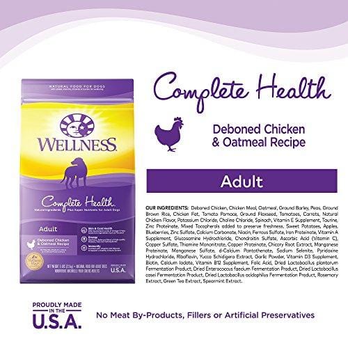 Wellness Complete Health Natural Dry Dog Food, Chicken & Oatmeal, 30-Pound Bag