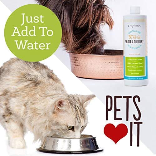 Oxyfresh Premium Pet Dental Care Solution (16oz): Best Way To Eliminate Bad Dog Breath & Cat Breath - Fights Tartar, Plaque & Gum Disease! - So easy, just add to water! Vet Recommended!