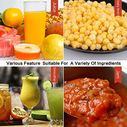 La Reveuse Smoothies Blender Personal Size 300 Watts with 18 oz BPA Free Portable Travel Sports Bottle (Pink)