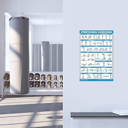 10 Pack - Exercise Workout Poster Set - Dumbbell, Suspension, Kettlebell, Resistance Bands, Stretching, Bodyweight, Barbell, Yoga Poses, Exercise Ball, Muscular System (PAPER, NON LAMINATED,18" x 27")