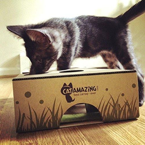 Cat Amazing - Best Cat Toy Ever! Interactive Treat Maze & Puzzle Feeder for Cats