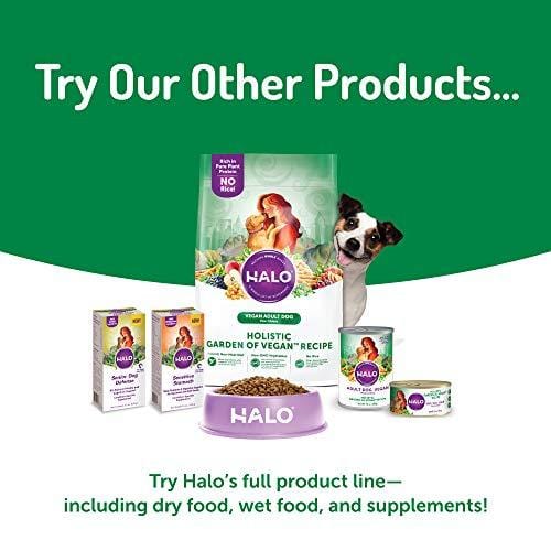 Halo Vegan Grain Free Natural Crunchy Dog Treats, Garden of Vegan Peanut N' Pumpkin Recipe, 8-Ounce Bag