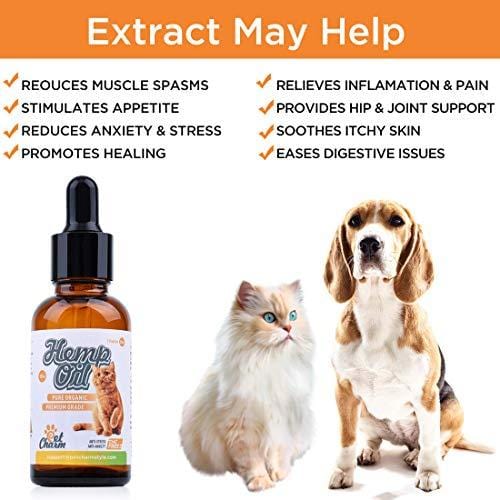 Pet Hemp Oil for Dogs Cats, Natural Organic Hemp Oil for Arthritis Pain Relief,Separation Anxiety,Supports Hip & Joint Health,Calming Relief and Better Sleep - Easily Apply to Treats (500mg)