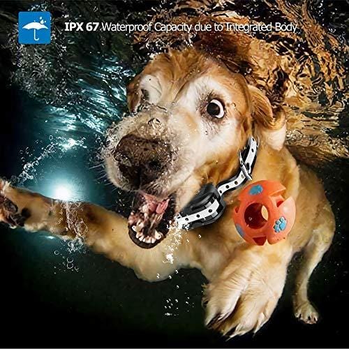 DB Degbit Shock Collar for Dogs with 3 Modes, Dog Training Collar [IP67 Waterproof][Fast Training Result] E-Collar, Dog Shock Collar with Remote, 1000ft Range, Bark Collar, for Small/Medium/Large dogs