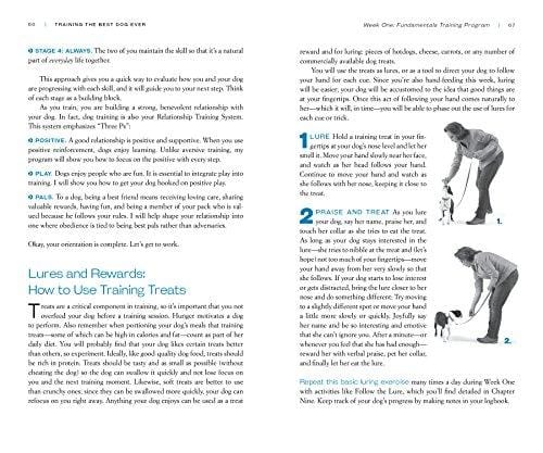 Training the Best Dog Ever: A 5-Week Program Using the Power of Positive Reinforcement - Ultra Pickleball