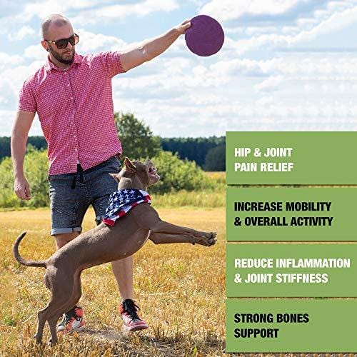 Pawesome Hemp + Glucosamine for Dogs - Hip & Joint Supplement - w/ Hemp Oil + Protein - Chondroitin, MSM, Turmeric to Improve Mobility & Energy - Natural Joint Pain Relief, 120 Soft Chews
