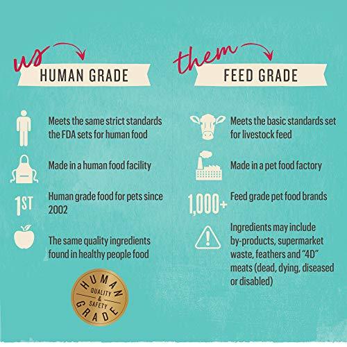 Honest Kitchen Human Grade Dehydrated Organic Grain Chicken Dog Food Box, 10 lb