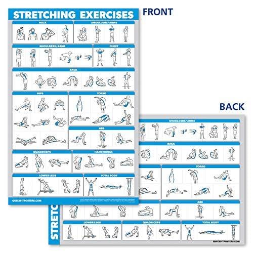 10 Pack - Exercise Workout Poster Set - Dumbbell, Suspension, Kettlebell, Resistance Bands, Stretching, Bodyweight, Barbell, Yoga Poses, Exercise Ball, Muscular System (PAPER, NON LAMINATED,18" x 27")
