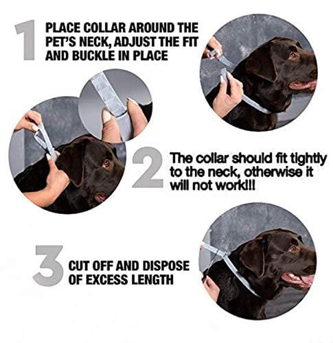 zpetii Flea & Tick Collar for Dog Waterproof Collars Fits All Large Medium & Small Dogs for 8 Months 2 Pack