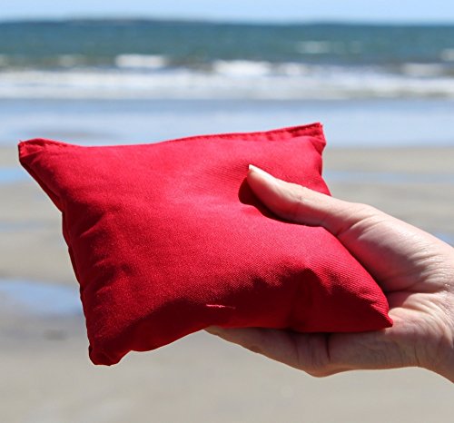 Driveway Games All Weather Cornhole Set. Regulation Corn Toss Boards & Bean Bags. Family Outdoor Lawn Yard Game, White