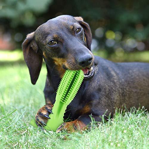YOMERTO Dog Toothbrush 2019 Upgraded Version Dog Chew Toy Tooth Cleaner Dog Teeth Brushing Stick 100% Natural Rubber Doggy Puppy Oral Dental Care