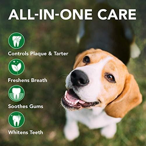 Vet's Best Dog Toothbrush and Enzymatic Toothpaste Set | Teeth Cleaning and Fresh Breath Kit with Dental Care Guide| Vet Formulated
