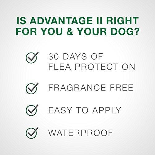 Bayer Advantage II Topical Flea Treatment Dogs