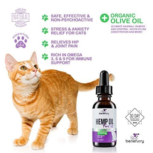 Hemp Oil For Pets By Benefurry | 700mg | Ultimate Pet Health Formula | Pet Anxiety, Hip & Joint Care, Overall Pet Health | USA Grown Hemp (For Cats)