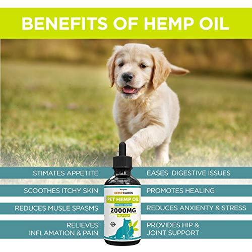 Hemp Oil for Dogs & Cats - 2000mg -100% A Organic Pet Hemp Oil - Anxiety Relief for Dogs & Cats - Supports Hip & Joint Health - Grown & Made in USA - Natural Relief for Pain - Omega 3, 6 & 9