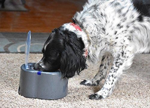 Our Pets Smart Link Intelligent Pet Care Selective Feeder Automatic Pet Bowl