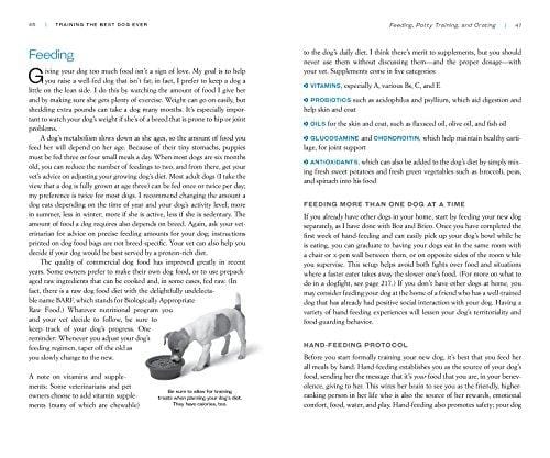 Training the Best Dog Ever: A 5-Week Program Using the Power of Positive Reinforcement - Ultra Pickleball