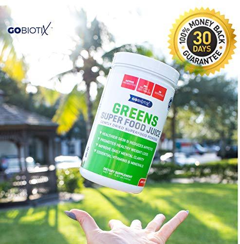 Greens Superfood Juice - Organic Green Veggie Powder - 20+ Fruits & Vegetables - Promotes Gut Health - Antioxidant, Digestive Enzyme & Probiotic Blends - Gluten Free Non-GMO Vegan - Apple Banana 450g