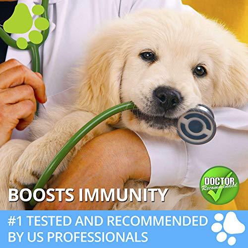 Кinpur Organic Hemp Oil Extract for Dogs & Cats - 5000 Mg - Inflammation, Pain, Arthritis, Stress, Separation Anxiety Relief - Hip & Joint Support - Natural Sedative, Calming Remedy