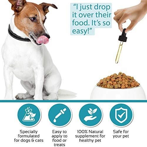Hemp Oil for Dogs & Cats - Dog Anxiety Relief, Joint Support for Dogs, Great for Healthy Skin and Coat - Good Source of Omega 3 for Dogs - Organic - Made in USA - Apply to Dog Calming Treats - Dog