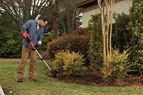 CRAFTSMAN V20 String Trimmer / Edger (CMCST910M1)