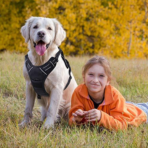Rabbitgoo  Dog Harness No-Pull Pet Harness Adjustable Outdoor Pet Vest 3M Reflective Oxford Material Vest for Dogs Easy Control for Small Medium Large Dogs (Black, L)