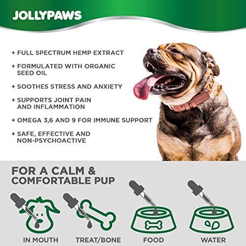 Jollypaws Hemp Oil for Cats - (500 MG) - All Natural Pain Relief, Stress & Anxiety Support, Hemp Oil - Salmon Flavor - Made in USA