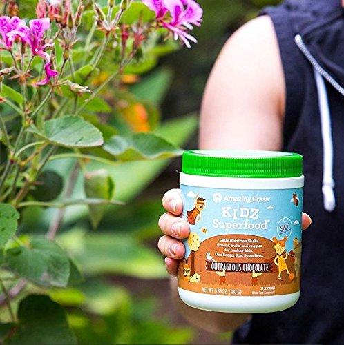 Amazing Grass, Organic Vegan Kids Superfood Powder with 30+ fruits & Super Greens, Flavor: Outrageous Chocolate, 30 Servings