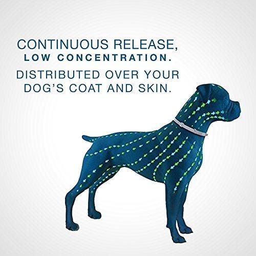 Bayer Animal Health Seresto Flea Tick 7-8 Month Collar for Small Dogs up To 18lbs