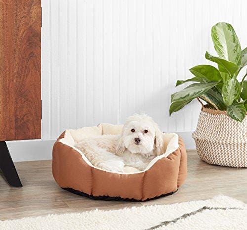 AmazonBasics Octagon Pet Bed
