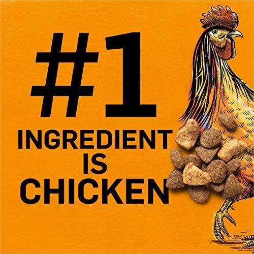 Purina Beyond Grain Free White Meat Chicken & Egg Recipe Adult Dry Dog Food - 23 lb. Bag
