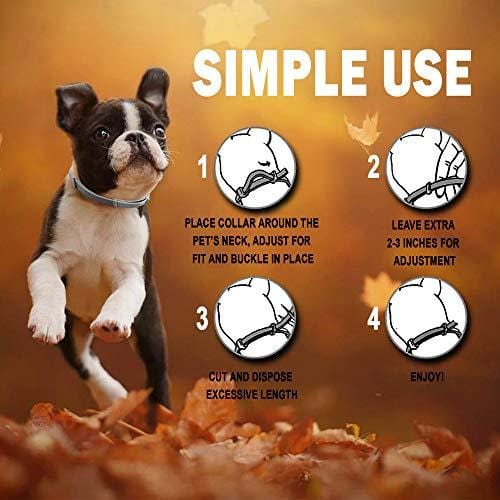 TUZIK Flea Collar for Dogs - 12 Months Flea and Tick Prevention - Dog Flea and Tick Treatment - Stable, Durable and Waterproof Flea and Tick Collar