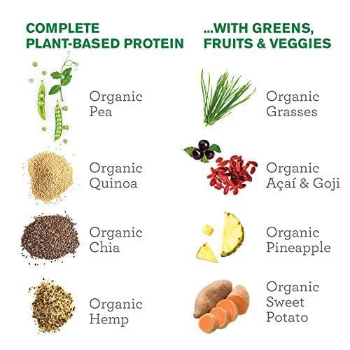 Amazing Grass Organic Plant Based Vegan Protein Superfood Powder with Vitamin Matrix, Flavor: Chocolate Peanut Butter, 10 Servings, 15.1oz, Meal Replacement Shake