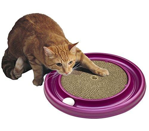 Bergan Turboscratcher Cat Toy (Assorted)