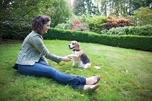 PetSafe Elite Little Dog In-Ground Fence for Dogs and Cats, Waterproof, Tone and Static Correction, for Pets Over 5 lb.